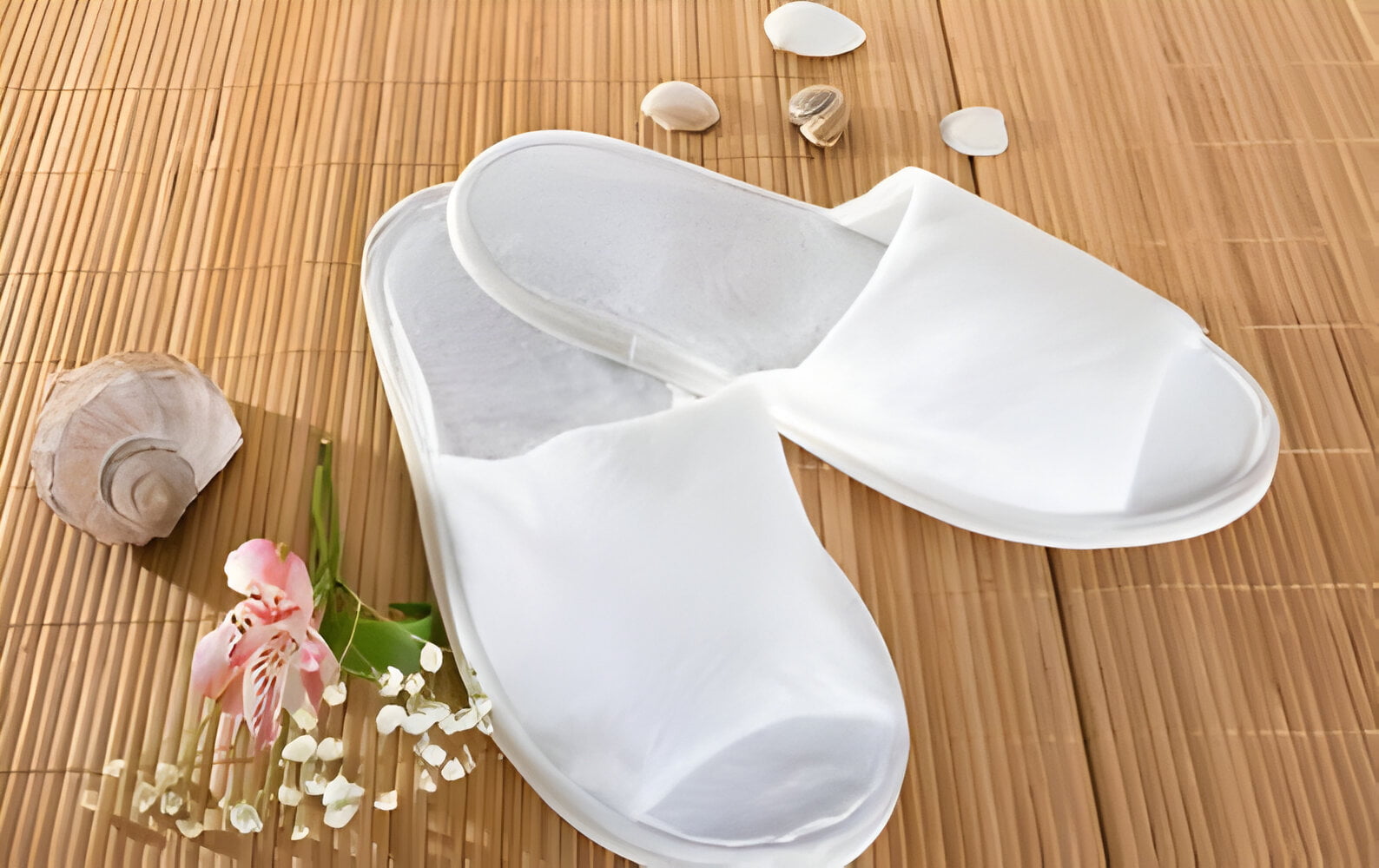 Papuci Hotel 002 Papuci Hotel: Eleganta si Confort pentru Oaspeti